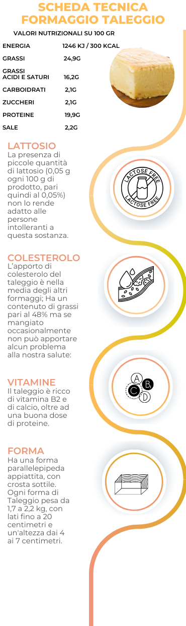 scheda tecnica formaggio taleggio