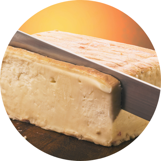 taleggio